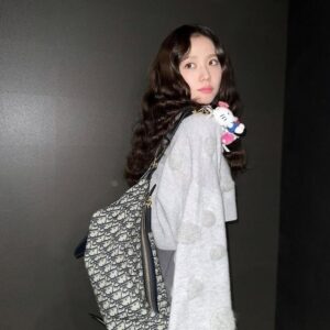 [디올] 디 디저니 백 소 25.5×15.5×14 대 33×16×15 더스트구성